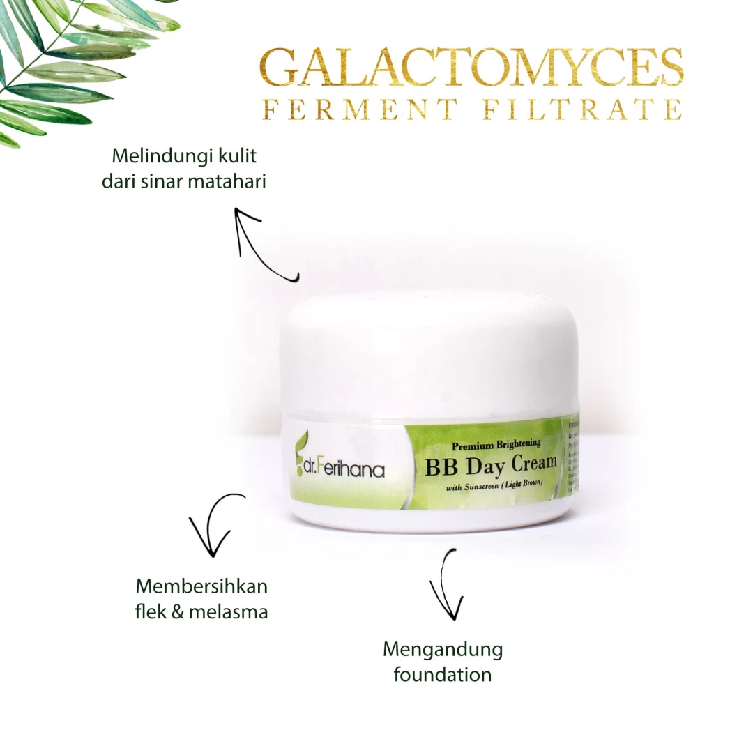 Gambar Premium Brightening BB Day Cream 4